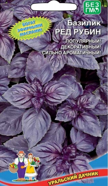 Базилик фиолетовый Ред Рубин, 0,25г Уральский дачник