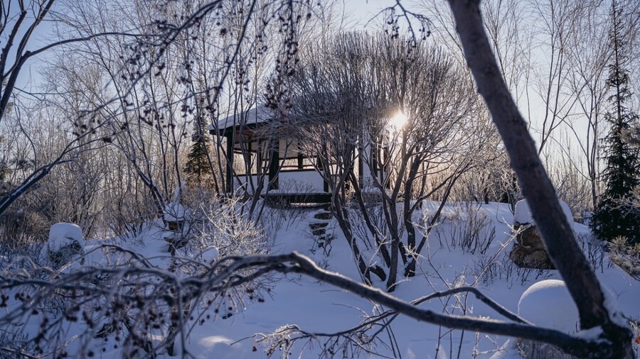 Зимний Японский Сад ИВА ПАРКА