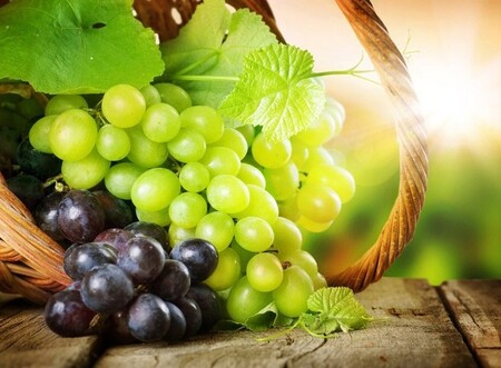 Учебный курс "Выращивание винограда в Тюмени" 