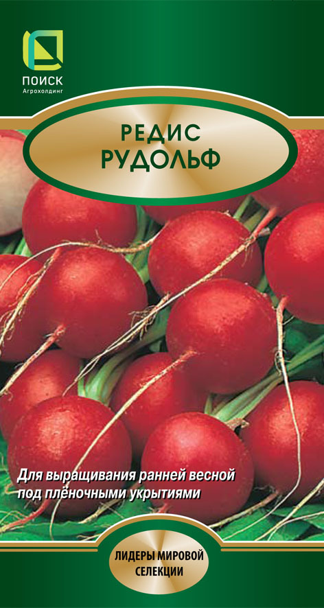 Редис Рудольф, 2г Поиск