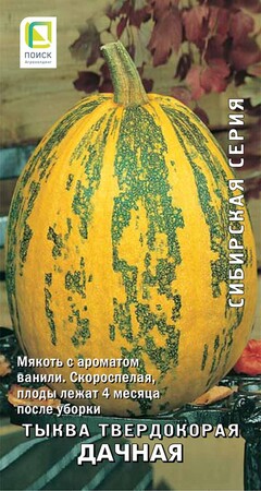 Тыква твердокорая Дачная, 10шт Поиск