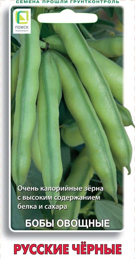 Бобы овощные Русские черные, 10шт Поиск