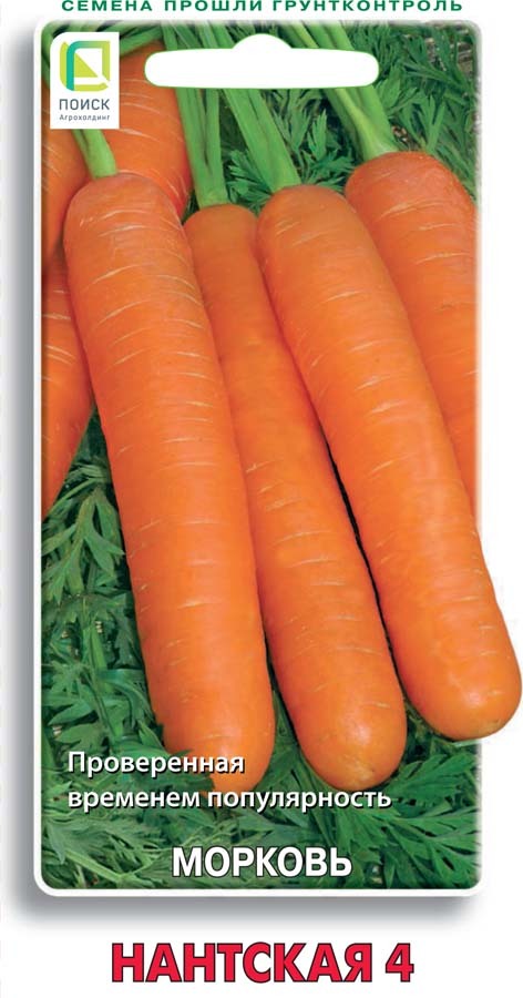 Морковь Нантская 4, 2г Поиск