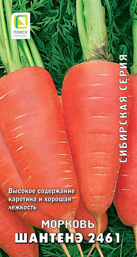 Морковь Шантенэ 2461, 2г Поиск