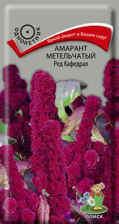 Амарант метельчатый Ред Кафедрал, 0,1г Поиск