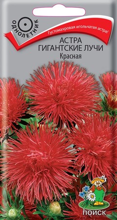 Астра Гигантские лучи Красная, 0,3г Поиск