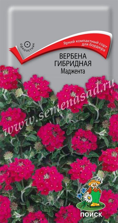 Вербена гибридная Маджента, 0,1г Поиск