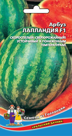 Арбуз Лапландия F1, 3шт Уральский дачник