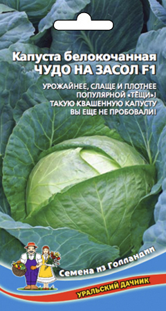 Капуста белокочанная Чудо на засол F1, 0,3г Уральский дачник