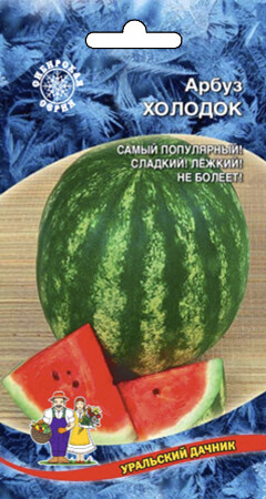 Арбуз Холодок, 10шт Уральский дачник