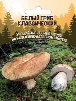 Белый гриб классический (мицелий зерновой), 30мл Уральский дачник