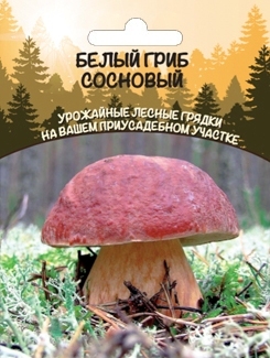 Белый гриб сосновый (мицелий зерновой), 30мл Уральский дачник