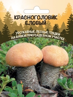 Красноголовик еловый (мицелий зерновой), 30мл Уральский дачник