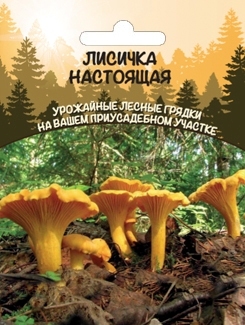 Лисичка настоящая (мицелий зерновой), 30мл Уральский дачник