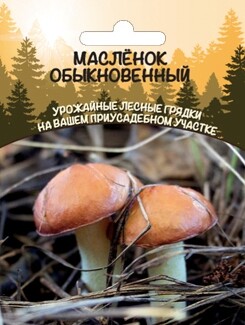 Маслёнок обыкновенный (мицелий зерновой), 30мл Уральский дачник
