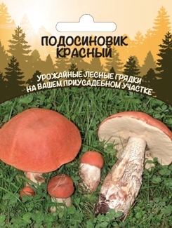 Подосиновик красный (мицелий зерновой), 30мл Уральский дачник