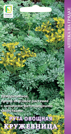 Рута овощная Кружевница, 25шт Поиск