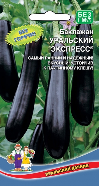 Баклажан Уральский экспресс, 20шт Уральский дачник