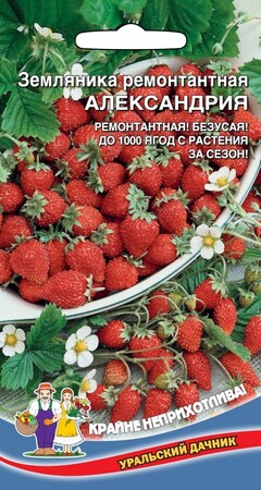 Земляника Александрия, 0,05г Уральский дачник