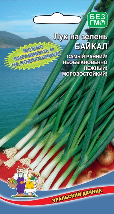 Лук на зелень Байкал, 0,25г Уральский дачник