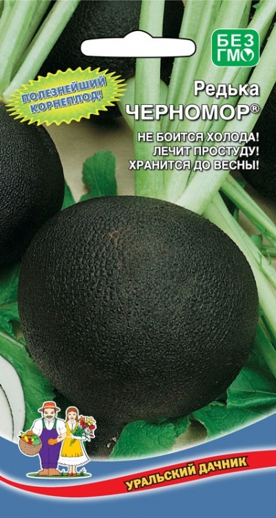 Редька Черномор, 1г Уральский дачник