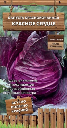 Капуста краснокочанная Красное сердце, 0,1г Поиск