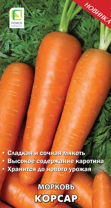 Морковь Корсар, 2г Поиск