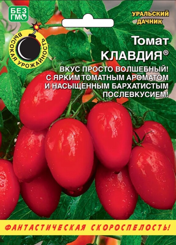 томат уличная девка купить