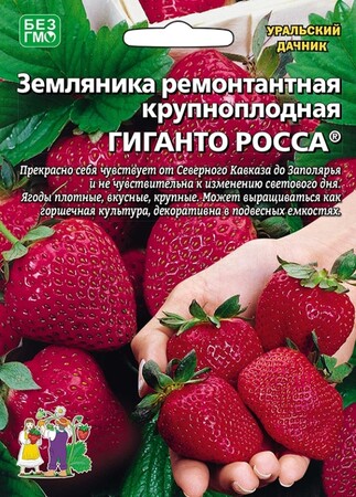 Земляника Гиганто Росса, 10шт Уральский дачник