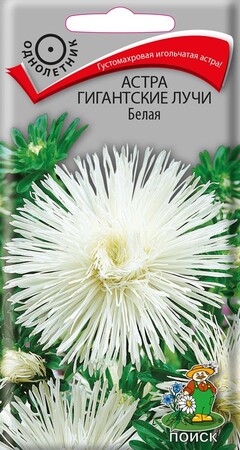Астра Гигантские лучи Белая, 0,3г Поиск