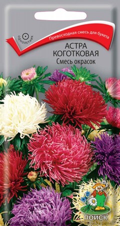 Астра коготковая Смесь окрасок, 0,3г Поиск