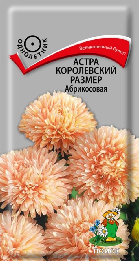 Астра королевский размер Абрикосовая, 0,1г Поиск