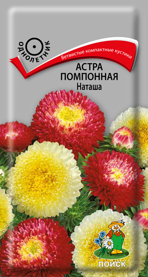 Астра помпонная Наташа, 0,3г Поиск