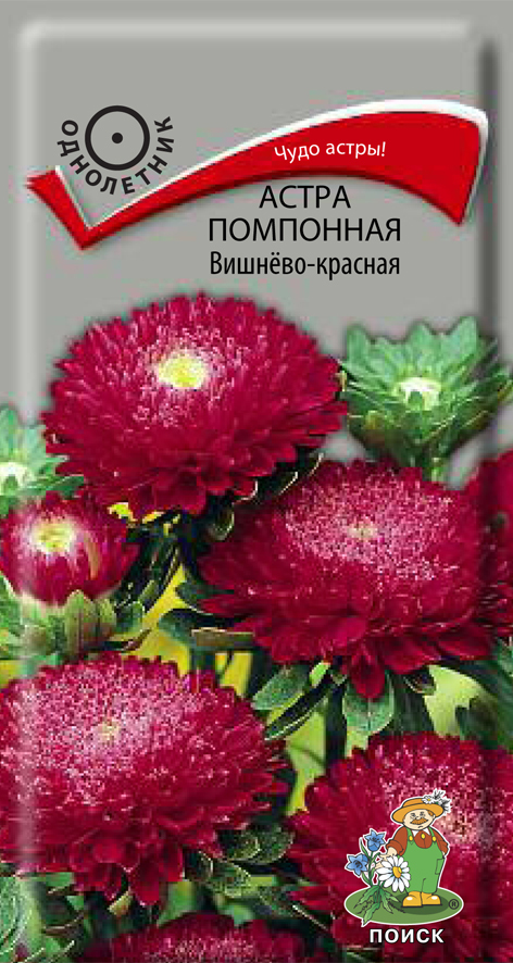 Астра помпонная Вишнево-красная, 0,3г Поиск