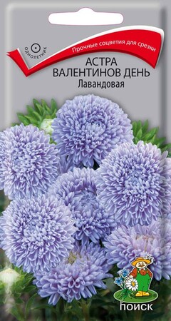 Астра Валентинов день Лавандовая, 0,2г Поиск