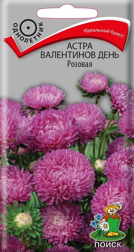 Астра Валентинов день Розовая, 0,2г  Поиск