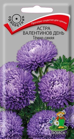 Астра Валентинов день Тёмно-синяя, 0,2г Поиск