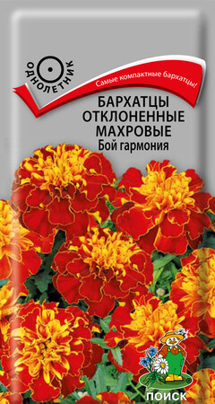 Бархатцы отклоненные махровые Бой гармония, 0,4г Поиск