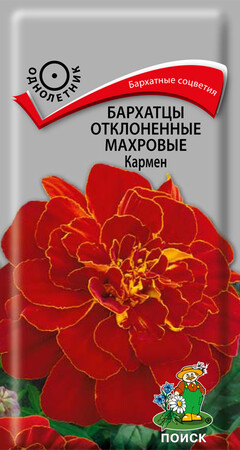 Бархатцы отклоненные махровые Кармен, 0,4гр Поиск