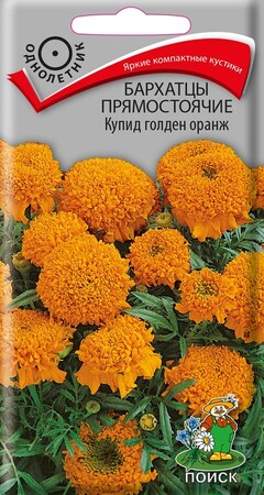 Бархатцы прямостоячие Купид голден оранж, 0,2г Поиск