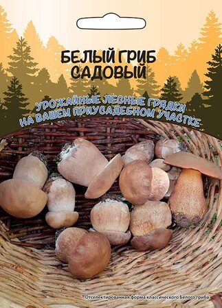 Белый гриб садовый (мицелий зерновой), 30мл Уральский дачник
