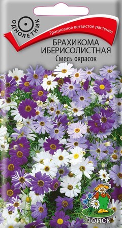 Брахикома иберисолистная Смесь окрасок, 0,03г Поиск