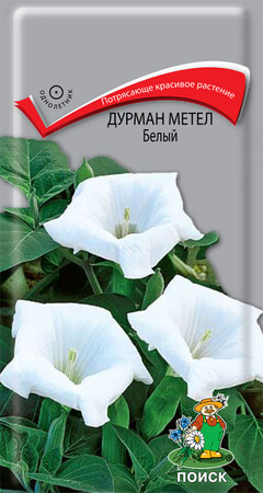 Дурман метел Белый, 1г Поиск