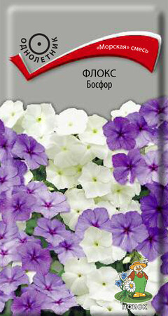 Флокс друммонда Босфор, 0,1г Поиск