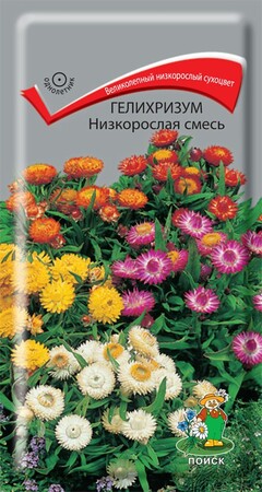 Гелихризум Низкорослая смесь, 0,1г Поиск