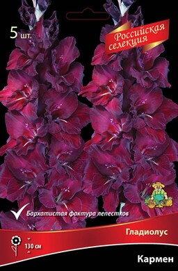 Гладиолус крупноцветковый Кармен, 5шт