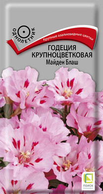 Годеция крупноцветковая Майден Блаш, 0,2г Поиск