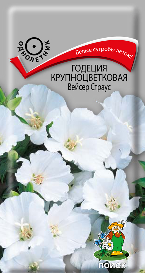 Годеция крупноцветковая Вайсер Страус, 0,2г Поиск