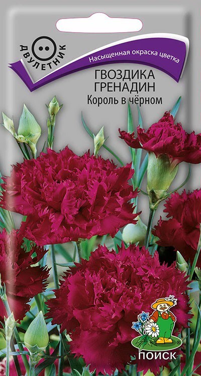 Гвоздика Гренадин Король в черном, 0,1г Поиск