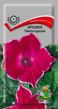 Ипомея Пикоти красная, 0,3г Поиск